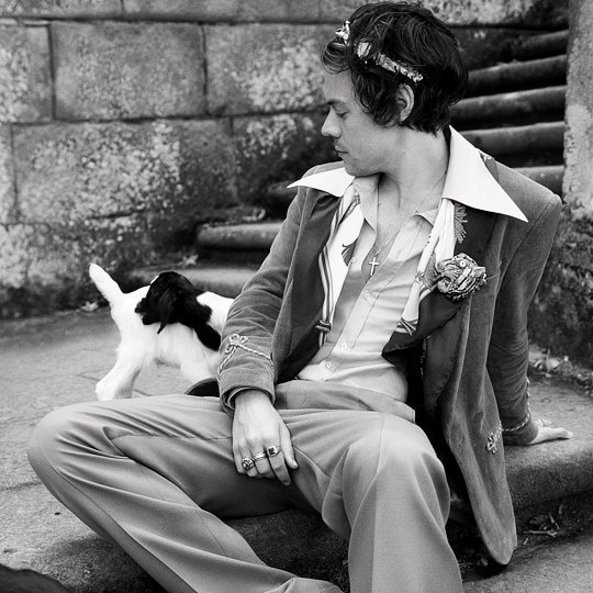 WhyLarryIsReal's tweet photo. kings of chilling with cute animals https://t.co/doYgypDnui