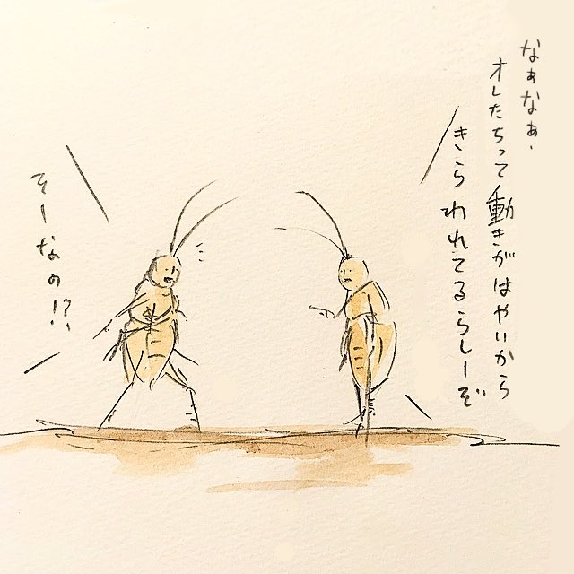 ゆるふわ昆虫図鑑 gの勘違い