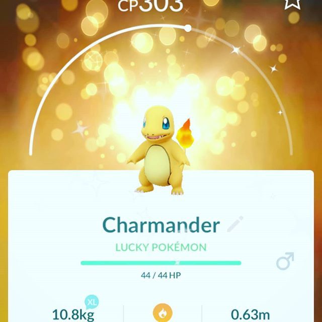 FrigginNerds's tweet image. Mike finally caught a shiny Charmander! We decided to trade our shiny Charms and got SUPER lucky! #PokemonGo #KantoEvent #ShinyLuck instagram.com/p/Bn6JnDghyZI/
