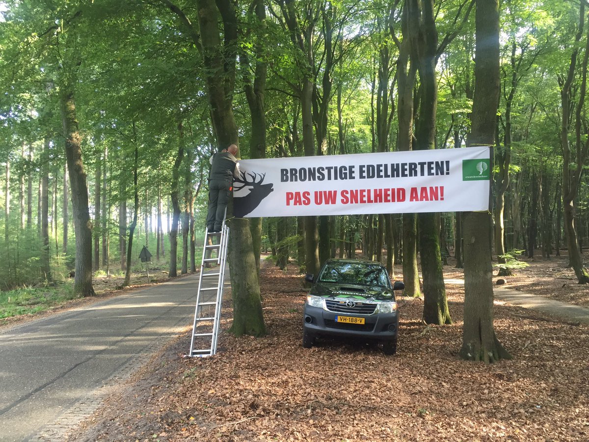 In navolging van <a href="/Bosw8erLaurens/">Laurens Jansen</a> nu ook een bronstattentie voor verkeer op de Gortelseweg door het #Vierhouterbos. #Bronst <a href="/staatsbosbeheer/">Staatsbosbeheer</a>
