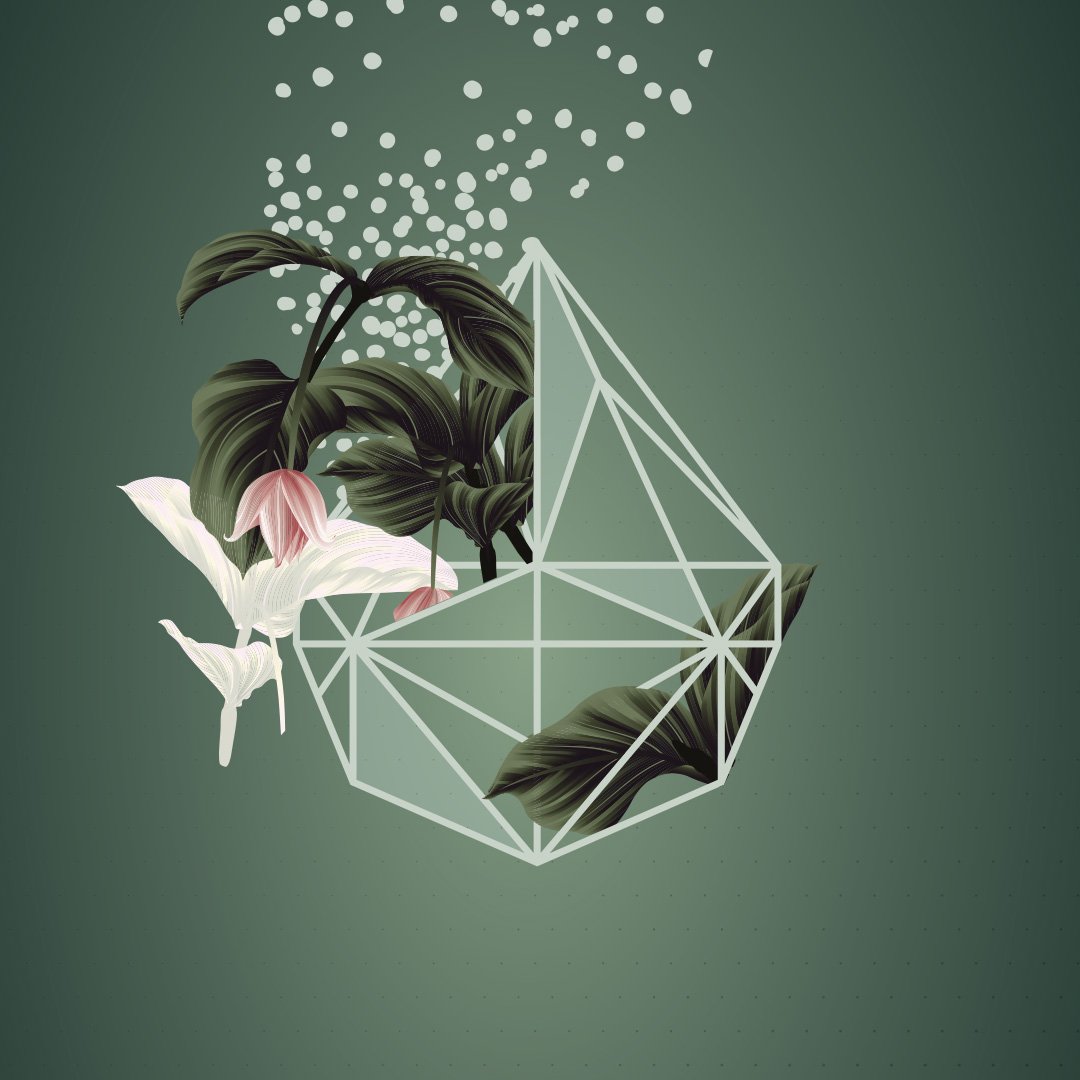 “There are many ways to be free. One of them is to transcend reality by imagination”- Anaïs Nin #modernleaf #qotd #anaisnin #cannabis #thc #cbd #toronto #calgary #regina