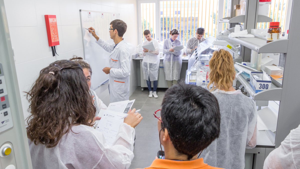 aimplas's tweet photo. Nuestro #Máster de Materiales Poliméricos y Composites alcanza su sexta edición con récord de becas para alumnos de toda la Comunidad Valenciana. Cuenta con un amplio número de horas de prácticas y bolsa de empleo 👩‍🎓👨‍🎓 
https://t.co/9QQjGZci0V https://t.co/iHk14paHbU