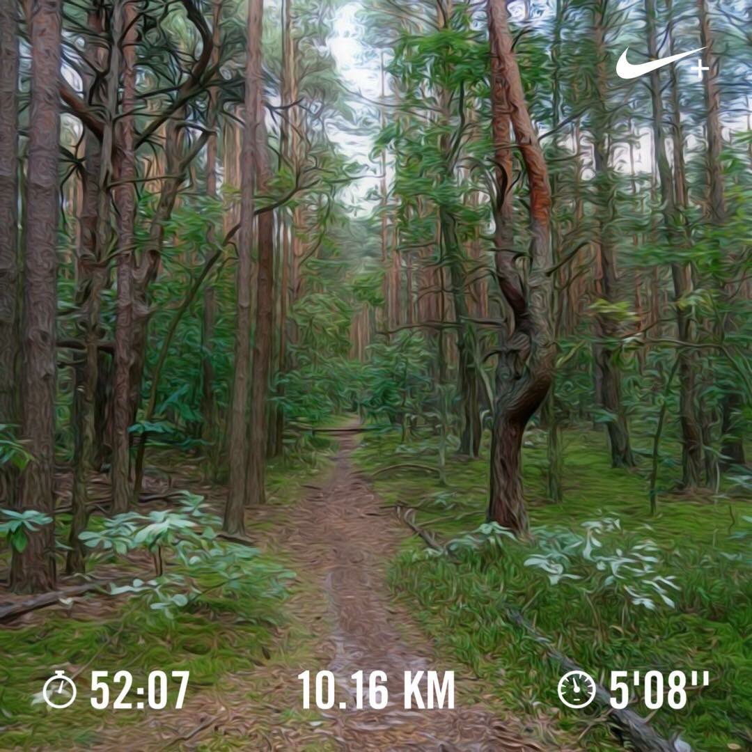 IAm_Rungry's tweet photo. Run with your heart🏃♂️ #rungry #forestrun #runway #runnersworld #running #runner #run #runningislife #runnerscommunity #runnersofinstagram #instarun #runningmotivation #runaddict #runningmanchallenge #healthcoach #runtoinspire #runningchallenge #runitfast #strava #fitrun https://t.co/7GklVWKJns