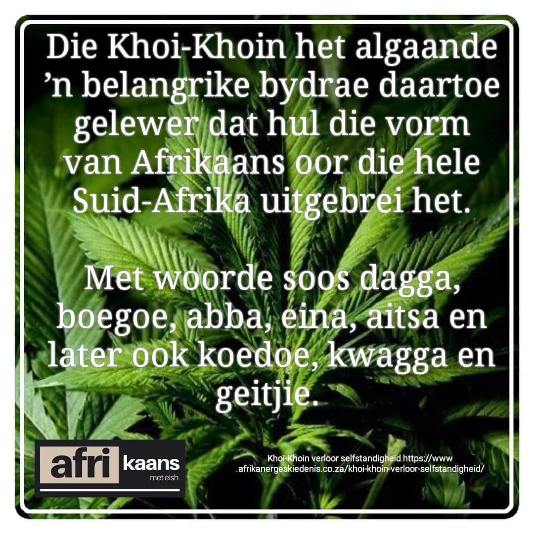 Feit vir die dag...