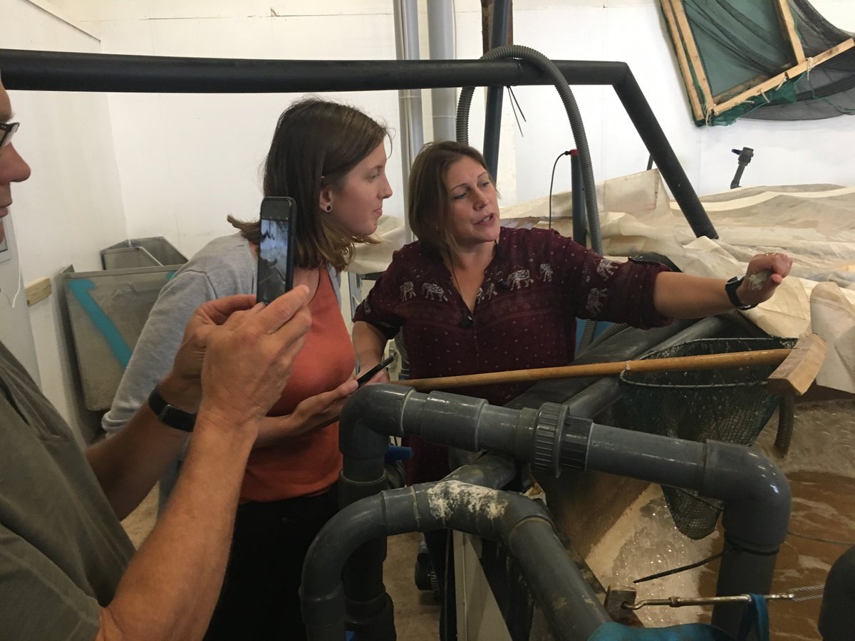 Today <a href="/SeaWinSWE/">SeaWin</a> is visiting the Vegafish shrimp farm in Lysekil.