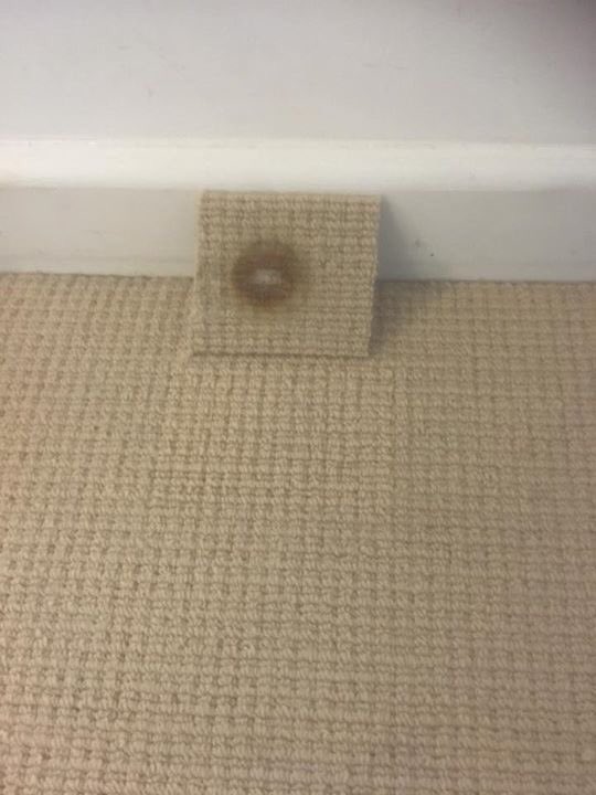 Steve <a href="/stevejsmith50/">PJ Flooring Ltd</a> helped in his fathers flooring biz as a child before establishing his own Co. That’s why he knows traditional ways. See the photos attached of a repair on a burnt area of carpet. Now that is quality tradesmanship #carpets #flooring #burn #repair #laminate