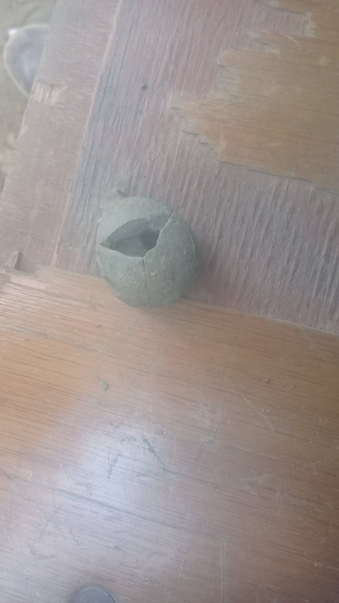 Marcial Montalvo tweet media