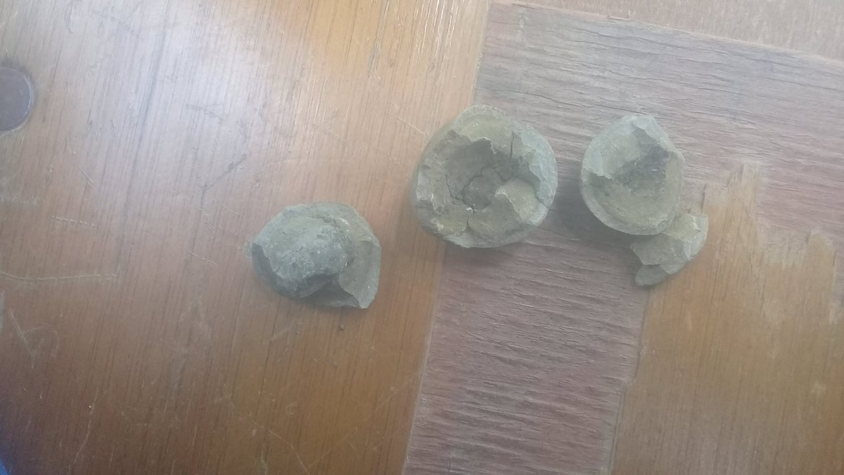 Marcial Montalvo tweet media