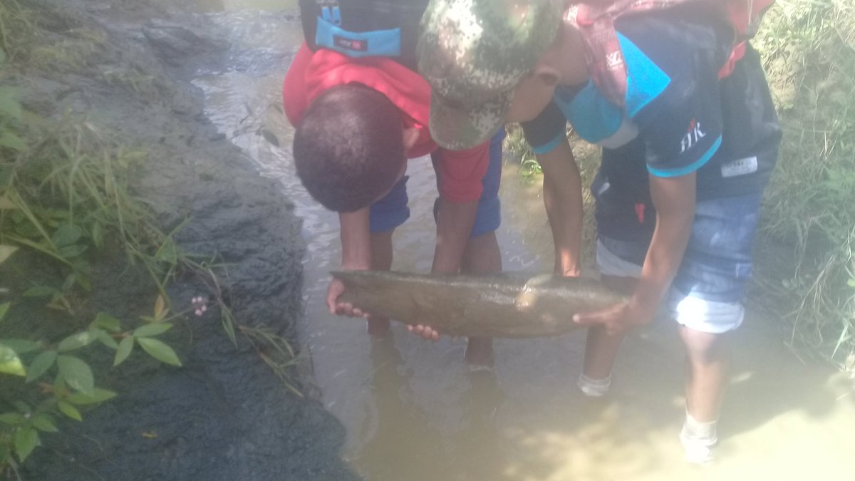 Marcial Montalvo tweet media