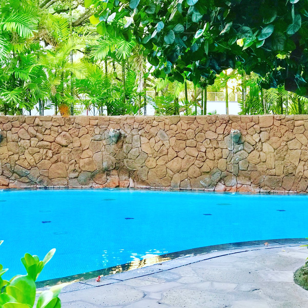 PlanningDisney's tweet photo. I enjoyed the 18 years and older pool at Disney’s Aulani Resort. Its nestled away from the crowds. It’s so pretty and relaxing. #disney #disneyaulani #disneyaulaniresort #aulanidisneyresort #aulani #disneyfamily #disneyvacation #disneylife #disneyresort #pool #relaxing https://t.co/4RHhDRD6df