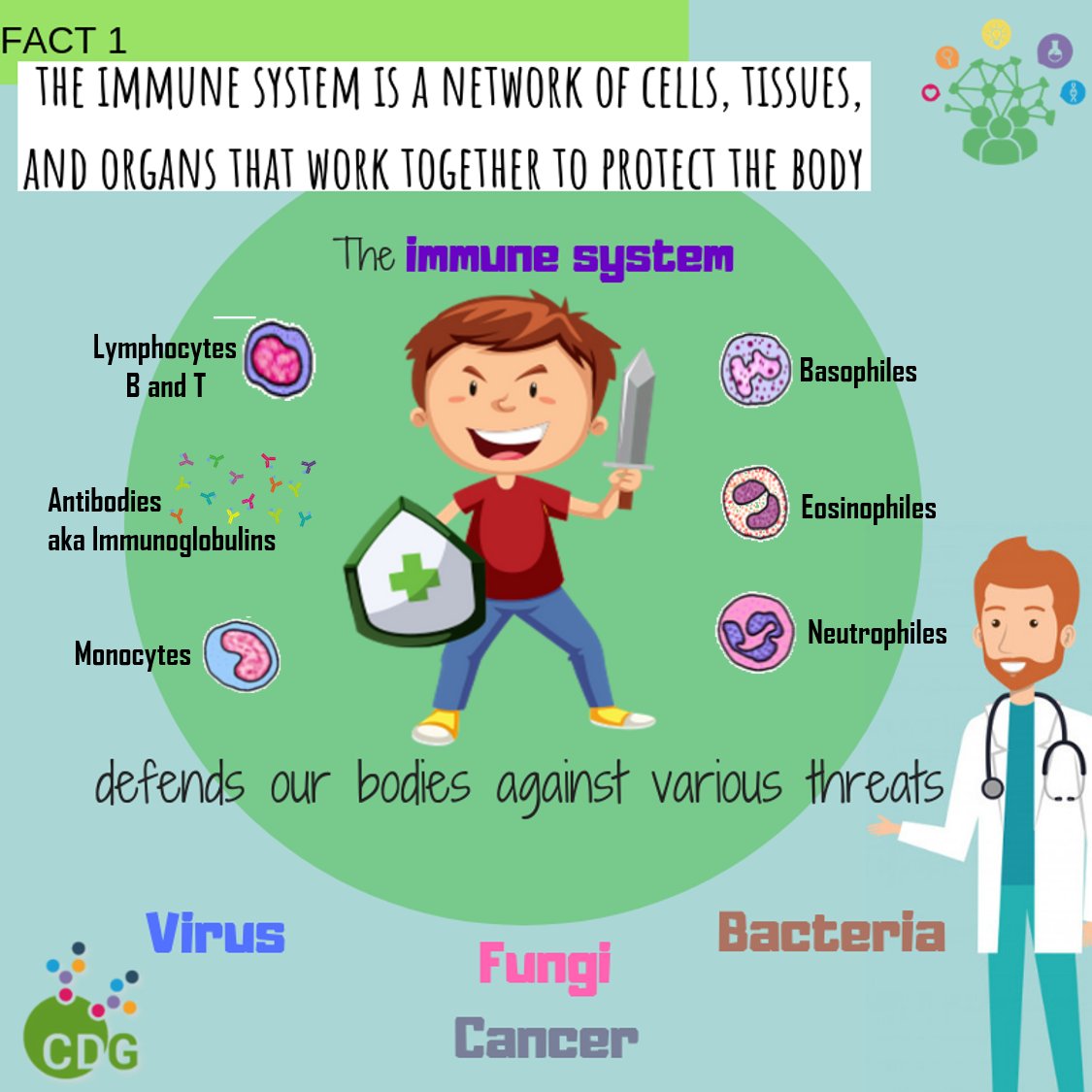 worldCDG's tweet photo. FACT Nº1: Let's start w/ the basics https://t.co/cyhVHBq8Xe 
*10 Days=10 #CDGImmunology Facts* #CDGFacts #CDGAwareness #CDGResearch @cdgcanada @LesPtitsCDG @UK_CDG @cdgsindrome @AmourFund @Metab_ERN @lilladybughugs @BegonyaNafria @Glycopedia @DrPas84Ele @RareConnect @VJsapps https://t.co/uBsxHj3CXN