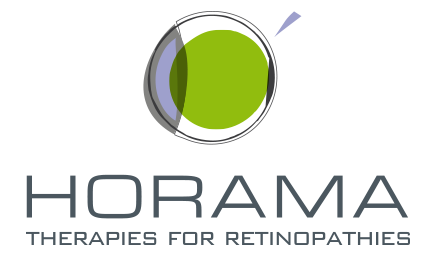 GO CAPITAL tweet media