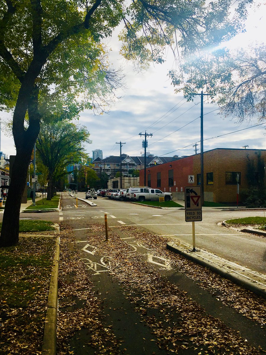 Proof is in the leaves. Cyclists use bike paths in Autumn. 
#CyclingAllYear
#MultiModalTransportation
#BeautyIsInTheSmallThings