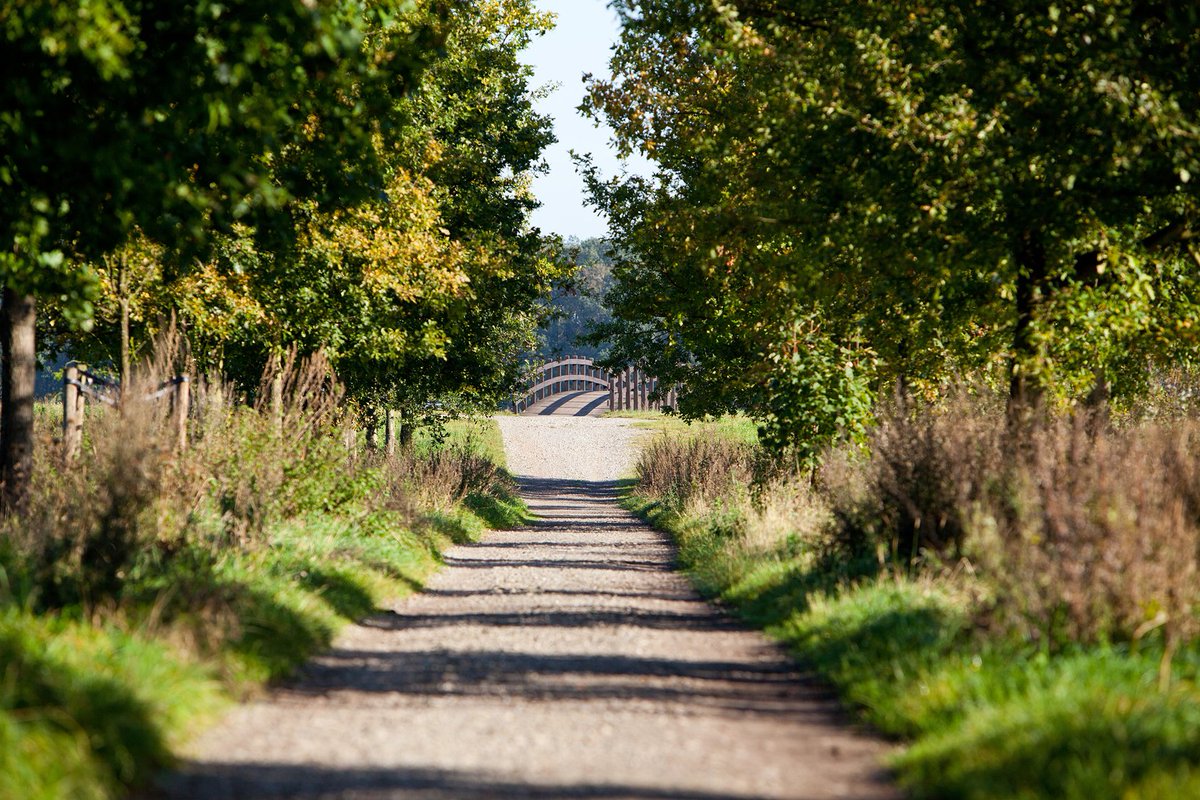 Op 24 september starten er werken aan de Rameyendreef. Het weggetje naast het Hof van Rameyen, richting het 'wiggelbruggetje', krijgt dan een nieuwe verharding. Tijdens deze werken, van 24 tot en met 28 september, is de dreef afgesloten voor alle verkeer. ow.ly/zwwg30lSDJ6