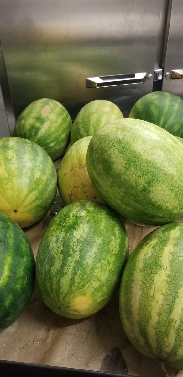 #Farm2School Watermelons! Putting these beauties on the salad bar Friday.
