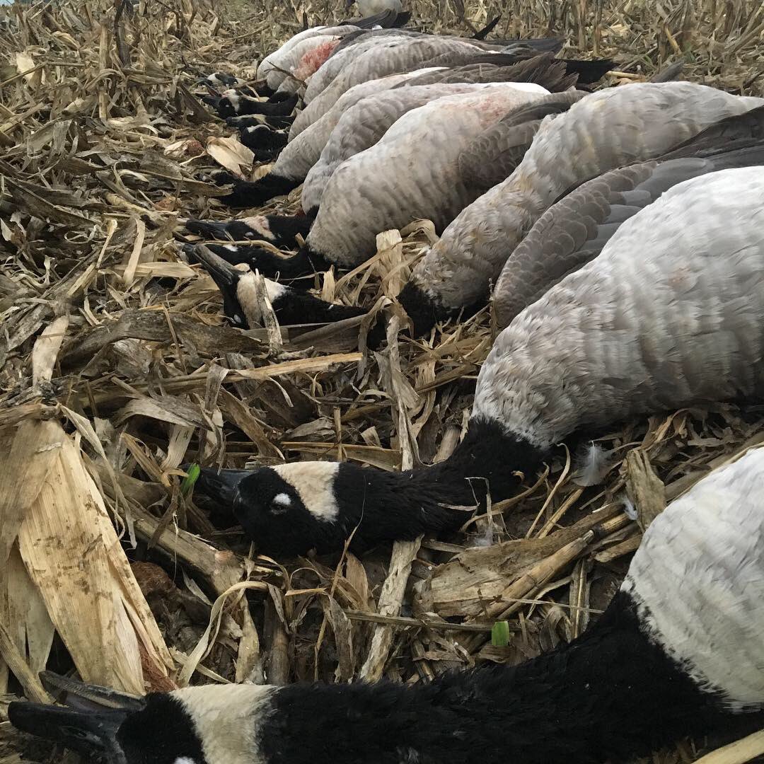tylermoore21's tweet photo. What a way to start the off season! https://t.co/7I7tG1cZ4D