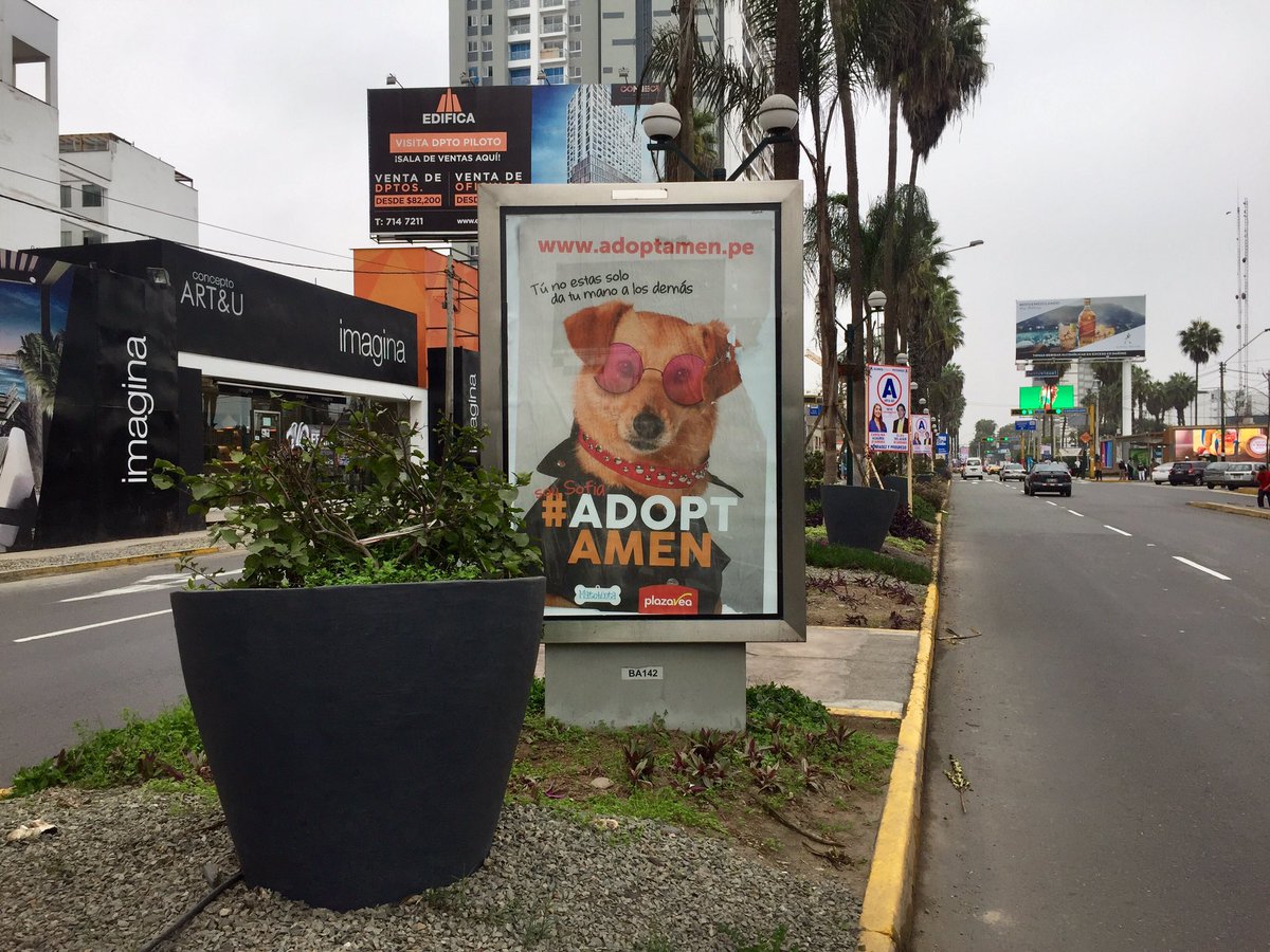 magnobolivar's tweet photo. De cuando vas por la calle y te encuentras tu campaña #ADOPTAMEN #AdoptaNoCompres https://t.co/zZYwov8tf1