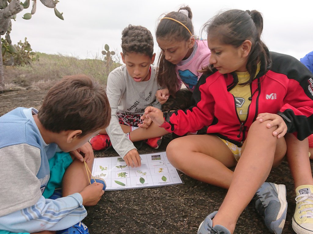 parquegalapagos's tweet photo. Niños de Floreana se divirtieron y aprendieron a cuidar su isla
Leer más 👉 https://t.co/k47S8K52wX
#AcciónGuardaparque https://t.co/78peVGA85l