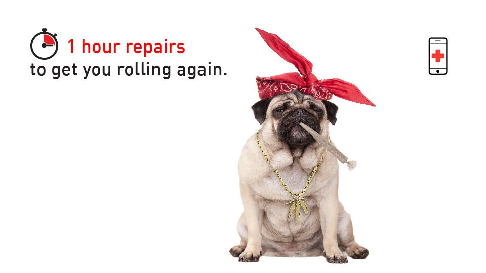 therealrepairco's tweet photo. 1 hour repairs to get you rolling again.🌿📲

Not to be blunt... view our unbeatable prices here> https://t.co/0RKyoNAcDv 

#Appledoctor #Legalised #Rollingin1hour https://t.co/YLaDxNZYKJ