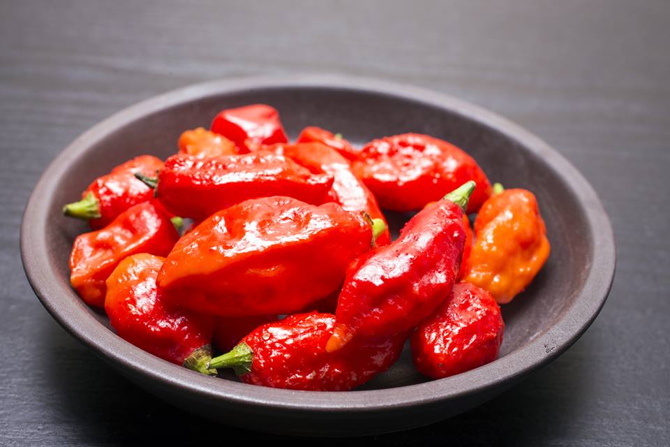 Regards_Dining's tweet photo. Any spicy food lovers out there? 🌶️🌶️🌶️ https://t.co/3GTJrkcLBT