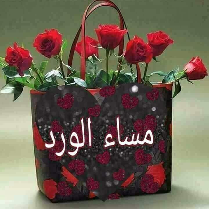 أحسن بشر بالبعد يتبع خطاويك
ان غبت عنه يكره العيش دونك
ماهو كما الي في جفا الوقت ناسيك
ماهو بعارف وين دربك وكوونك