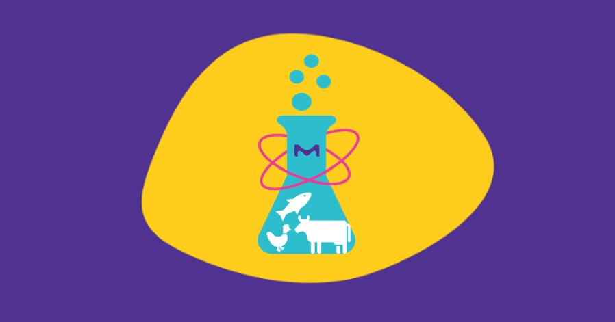 Do you run a #startup operating in our innovation field #CleanMeat? The #MerckAccelerator is looking for entrepreneurs focused on the #biotechnology required to produce genuine meat grown in vitro! #labgrownmeat #culturedmeat #biotechnology +info: bit.ly/2tLBb0w