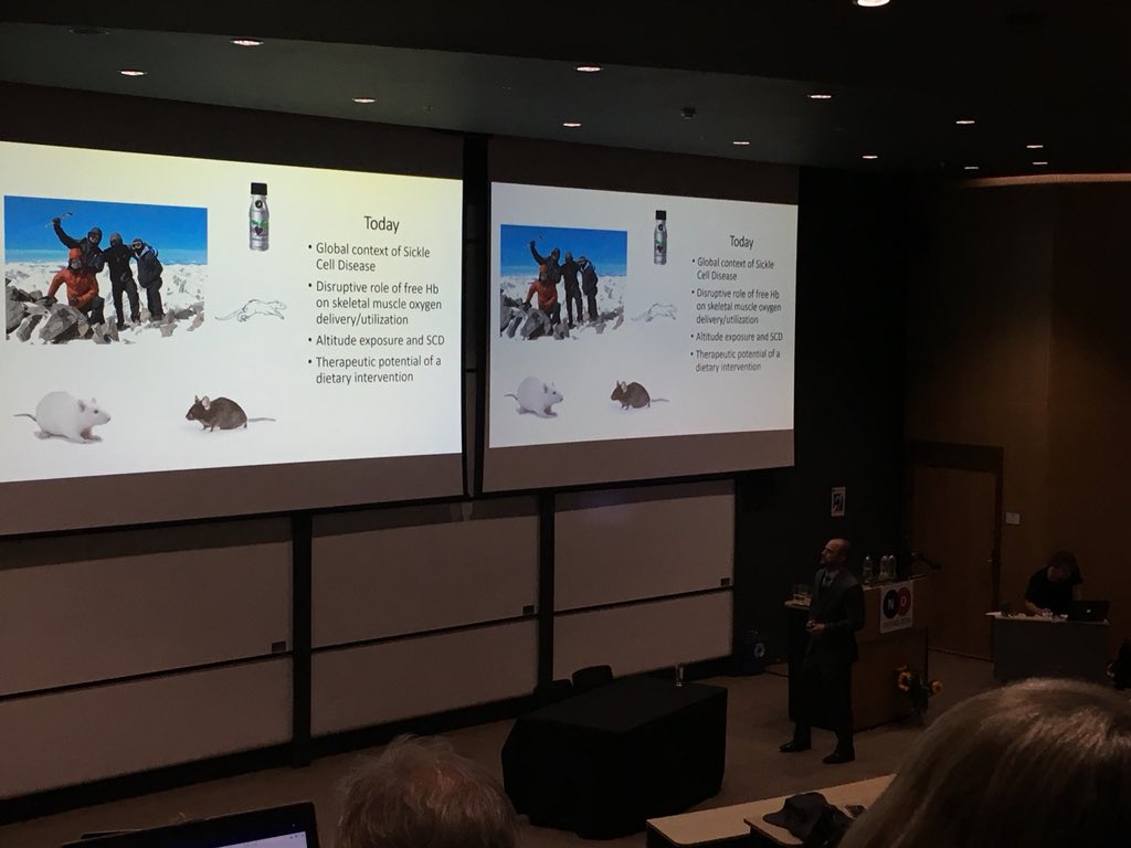 Beet It Sport tweet media