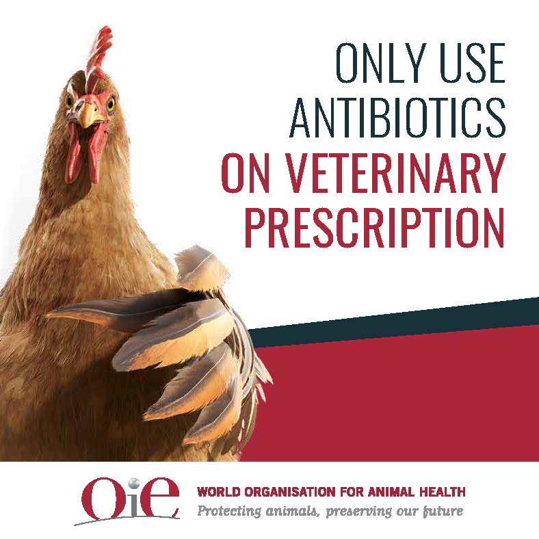 WOAH's tweet photo. Overuse and misuse of antimicrobials are key factors in the development of #AMR. The #OIE Commission for Europe encourages its members to incorporate e-tracking systems for antimicrobial prescriptions and to use these databases to raise awareness on rational antimicrobial use https://t.co/o7cthWrZPk