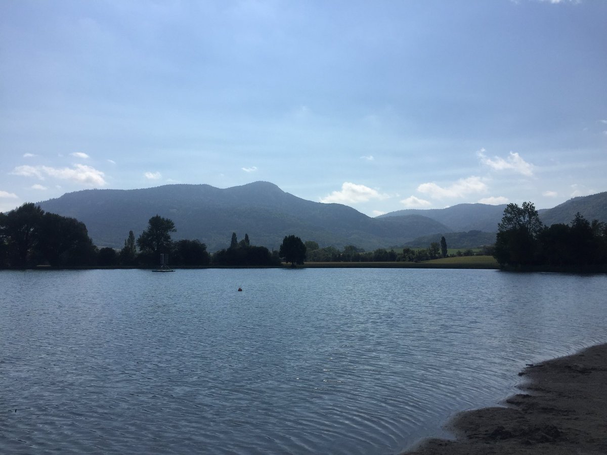 BridgetHolding's tweet photo. Lunch break. Swim break. Grape break. https://t.co/fnYQ3LkK7Z