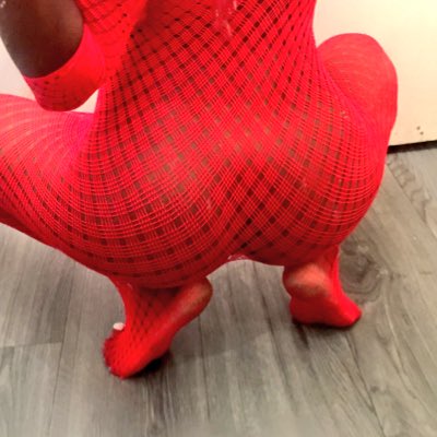 madame_mocha's tweet photo. #NewProfilePic

@RTFETFD @rtfindom @RTP1G @RTAlex_1 

I know your #edging. Just $end it. 
#ebony #paypig #findom https://t.co/sdTjL0xMWg