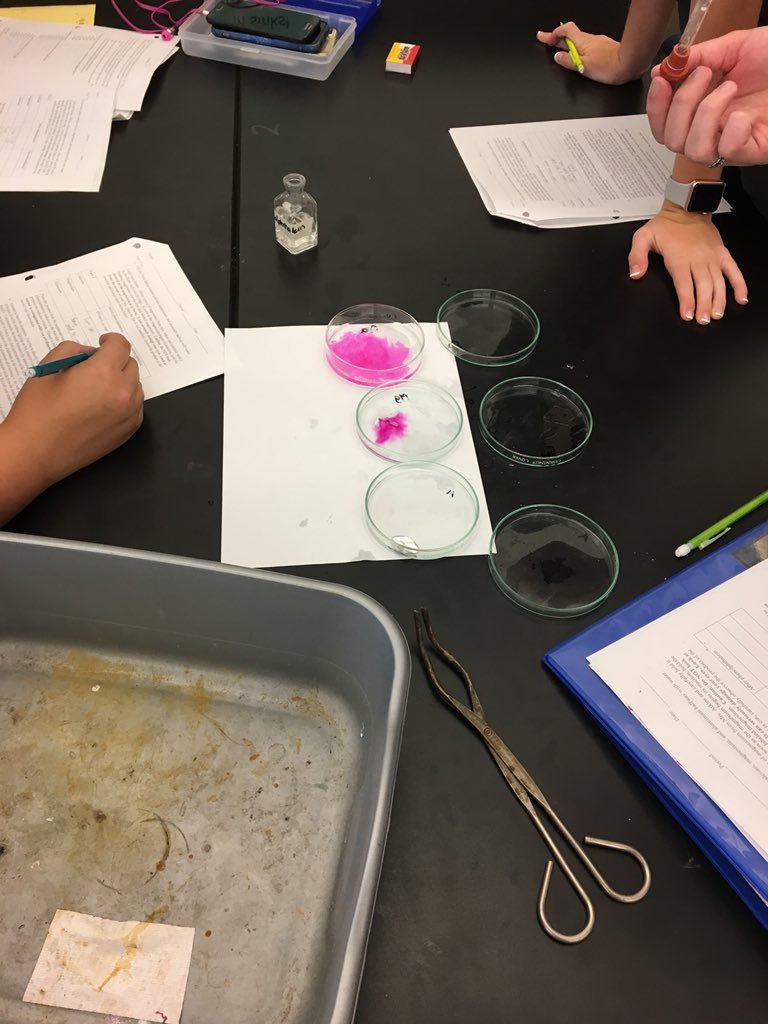 atkinswestchem's tweet image. Investigating reactivity of alkaline earth metals #RealTimeChem #WeDoScienceWell #ExpModelDemo@WSFCS_Science