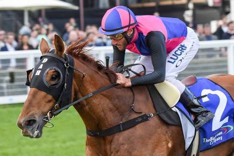 brillianceracin's tweet image. Everest contender #VegaMagic will head to Albury Racing Club this morning to trial as he builds towards October 13. Lindsay Park Racing regular trackwork rider Justin Henson will be aboard Vega Magic in the 900m hit-out. He will hit our against other Lindsay Park Racing horses.