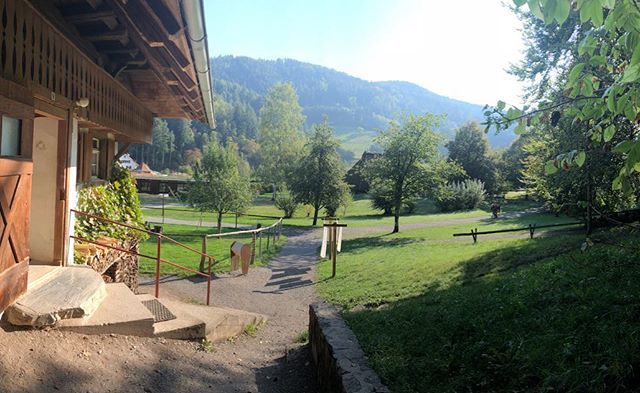 Gutach Hashtag On Twitter