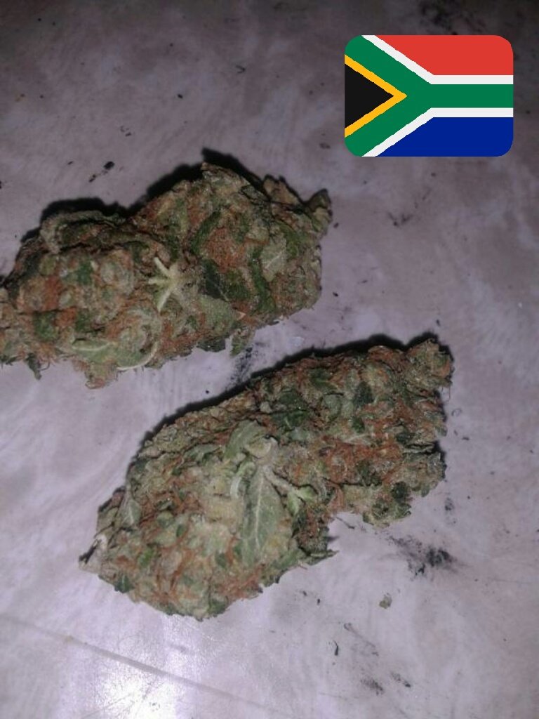 SABRE72984501's tweet photo. A BIG S/O TO SOUTH AFRICA 
FOR GIVING US LIFE IN
-MATEKWANE
-INSANGO
-DI'ZOLO
-IZIGADA
-DEPATJE 
-ISIHLAHLA
AZISHE WAYA WAYA.....
#S.AWeed https://t.co/lQGu3xPSEE