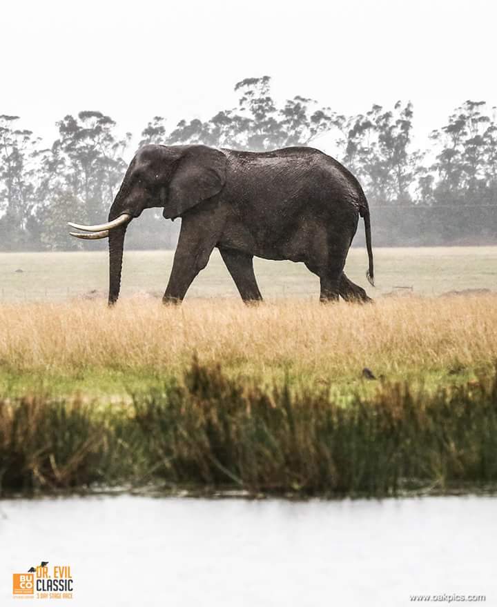 Dr. Evil Experience tweet media