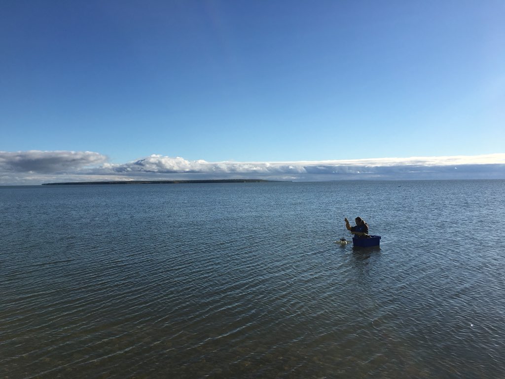 HudsonBayWQMS's tweet photo. Another beautiful Autumn day on #LakeWinnipeg! #coldwater #leakywaders #refreshing https://t.co/bJGbudAhN7