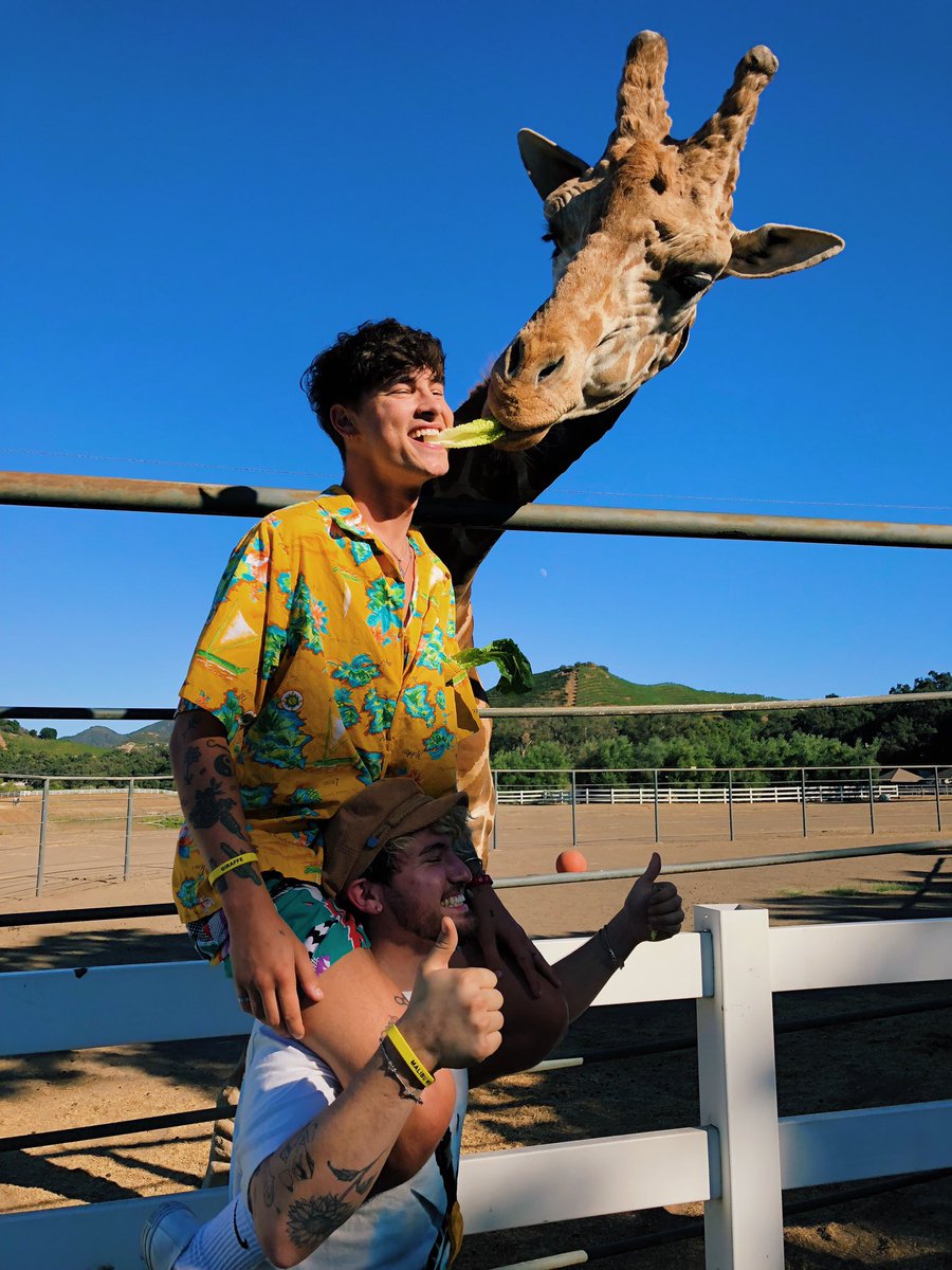 KianLawley's tweet photo. it’s called personal space bro https://t.co/svqyhrYWPa