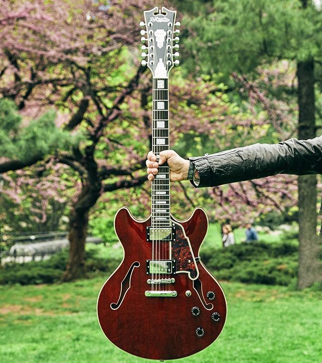 d angelico guitar 12 string