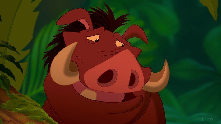Ernie Sabella was born on this day 69 years ago. Happy Birthday! What\s the movie? 5 min to answer! 