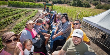CPPAgri's tweet photo. Enjoy a #hayride around the @calpolypomona #DiscoveryFarm during the #CPPPumpkinFestival on Oct. 6 and 7! 

Learn and see what #students are #growing on #campus.

Discounted tickets now available at https://t.co/X7GWaMRYpZ. https://t.co/XssMkOt6cU