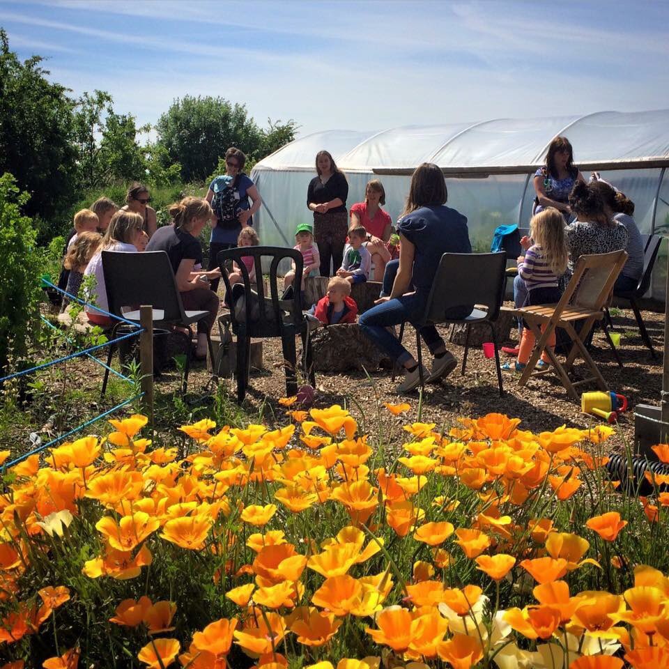 Outdoor Toddler group “Golden Buds” has spaces in the 11:30 am session. Every Tues 18 months to pre-school in our gorgeous community garden! 

Child led play, crafts, digging, nature exploration, pond digging, harvesting, watering, singing, stories, planting and more!