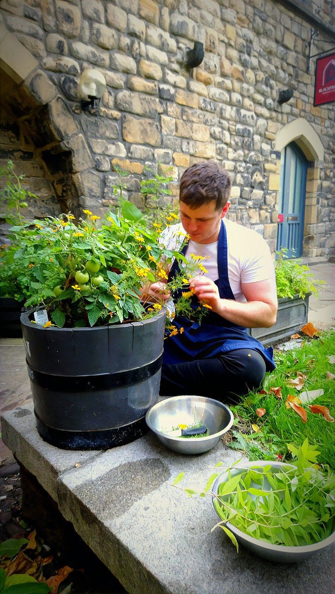 BlackfriarsRest's tweet photo. Some lovely produce at our fingertips. Some lemon verbena and tagetes growing in our planters https://t.co/FId9g4iKKW