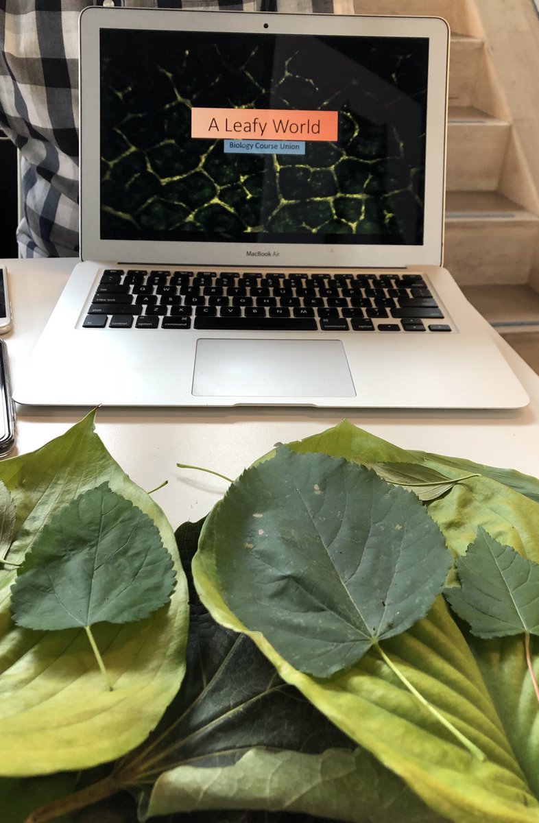 TorontoMetSci's tweet image. Day 3 of #SciLitWeek and @SciXchangeRU is set up at #RSLC teaching the community about the codes of life. @Ryerson_Biology  @ryecscu @RyeSciSociety @ryersonwics @Ryebiomed @scilitweek