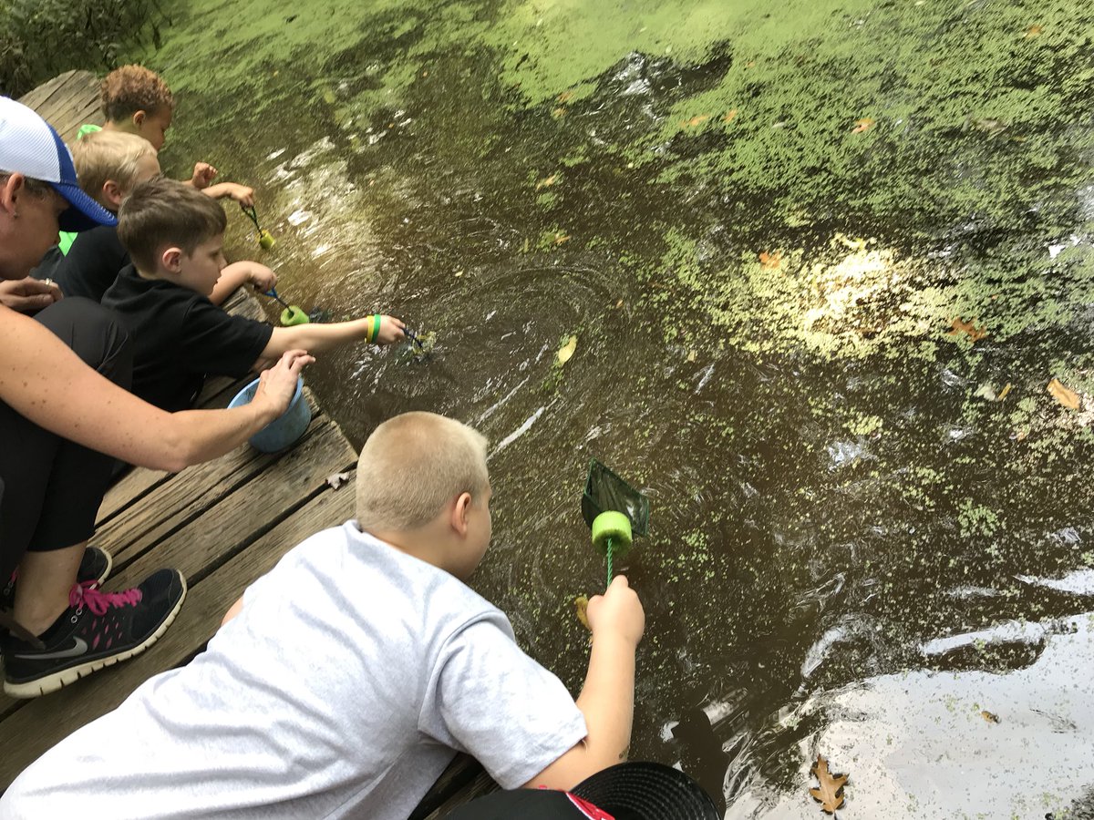 servizzi_teach's tweet photo. Cincinnati Nature Center Field Trip. Hands-on learning at its finest! #MightyMustangs @EES_Mustangs #MagicSchoolBus https://t.co/93Xqu0SwyG