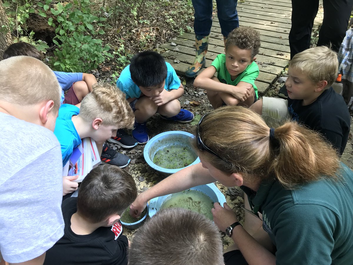 servizzi_teach's tweet photo. Cincinnati Nature Center Field Trip. Hands-on learning at its finest! #MightyMustangs @EES_Mustangs #MagicSchoolBus https://t.co/93Xqu0SwyG