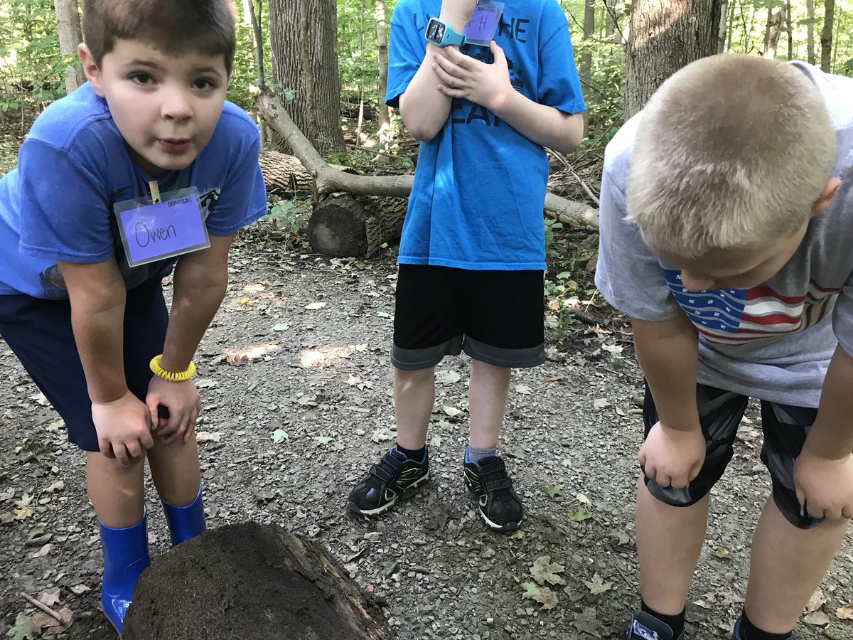 servizzi_teach's tweet photo. Cincinnati Nature Center Field Trip. Hands-on learning at its finest! #MightyMustangs @EES_Mustangs #MagicSchoolBus https://t.co/93Xqu0SwyG