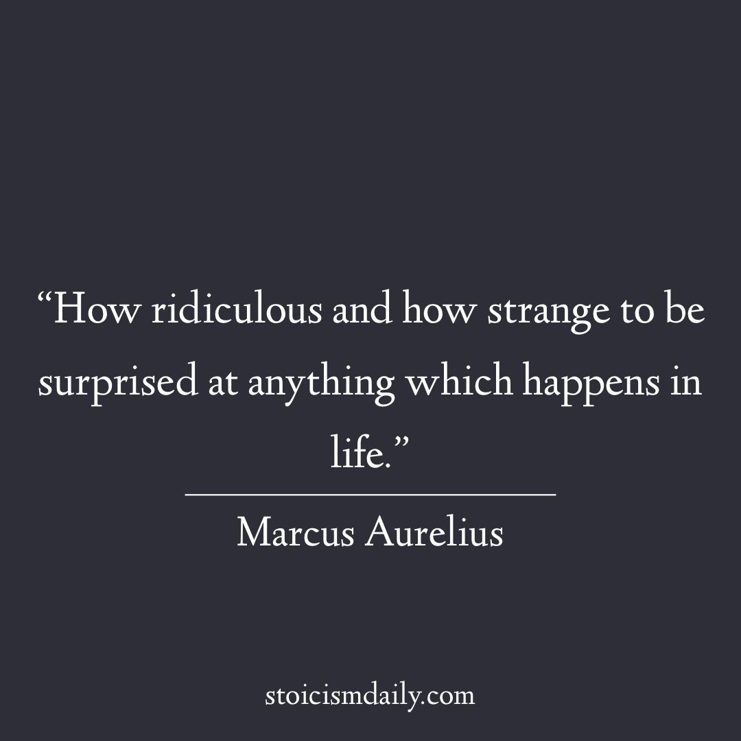 Stoicism_Daily's tweet photo. You can predict that life will be unpredictable. It’s in its nature. Maintain a sense of humor, but not surprise for that which happens in your life 🔥 #marcusaurelius https://t.co/6sFzRa1O9p