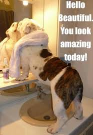 RoughdayWine's tweet photo. Why, hello there! #RoughDay #HadOneHaveOne https://t.co/tSYGU6AkZV