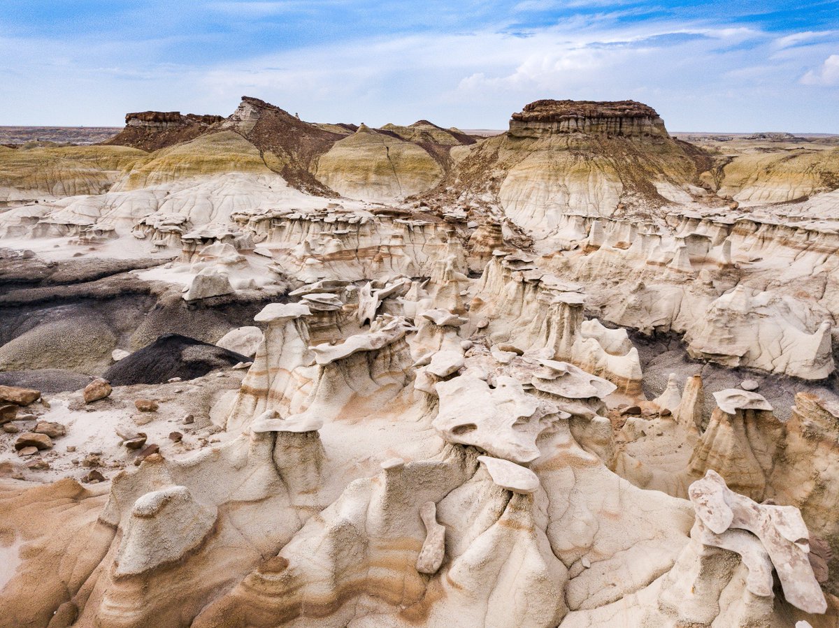 AdventureProMag's tweet image. The Bisti/De-Na-Zin #Wilderness of #NewMexico is unlike any place we've ever seen, and so are the beasts that roamed there 30 million years ago. Take a closer look at this incredible landscape. @NewMexico bit.ly/2NpQGa7