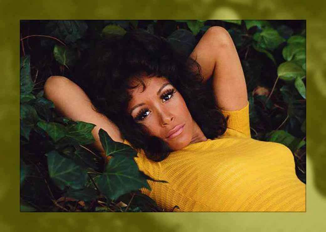Happy Birthday to FREDA PAYNE

(Freda Charcilia Payne)

(09/19/1942) 